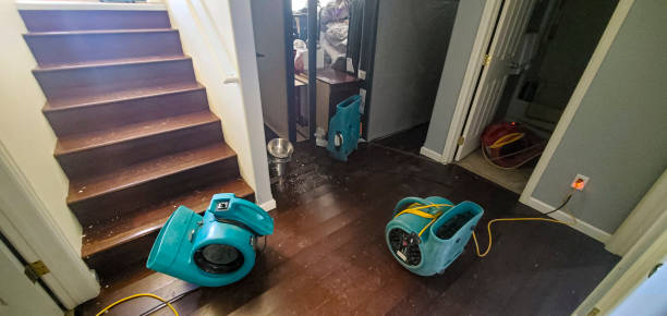 Best Mold removal after water damage  in Forest Oaks, NC