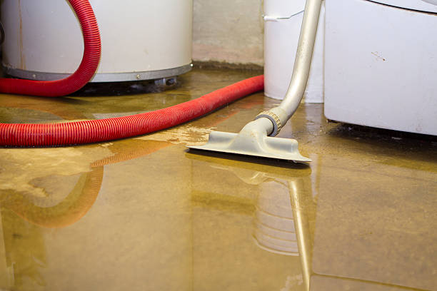 Best Water damage cleanup near me  in Forest Oaks, NC