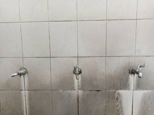 Best Water damage restoration near me  in Forest Oaks, NC