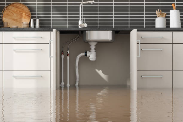 Best Flooded house restoration  in Forest Oaks, NC