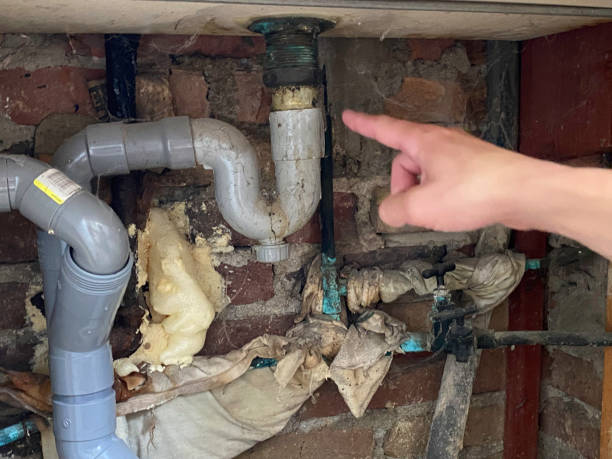 Best Professional water damage repair  in Forest Oaks, NC