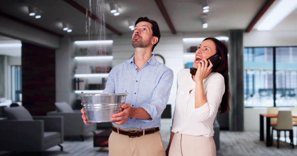 Best Water damage cleanup near me  in Forest Oaks, NC